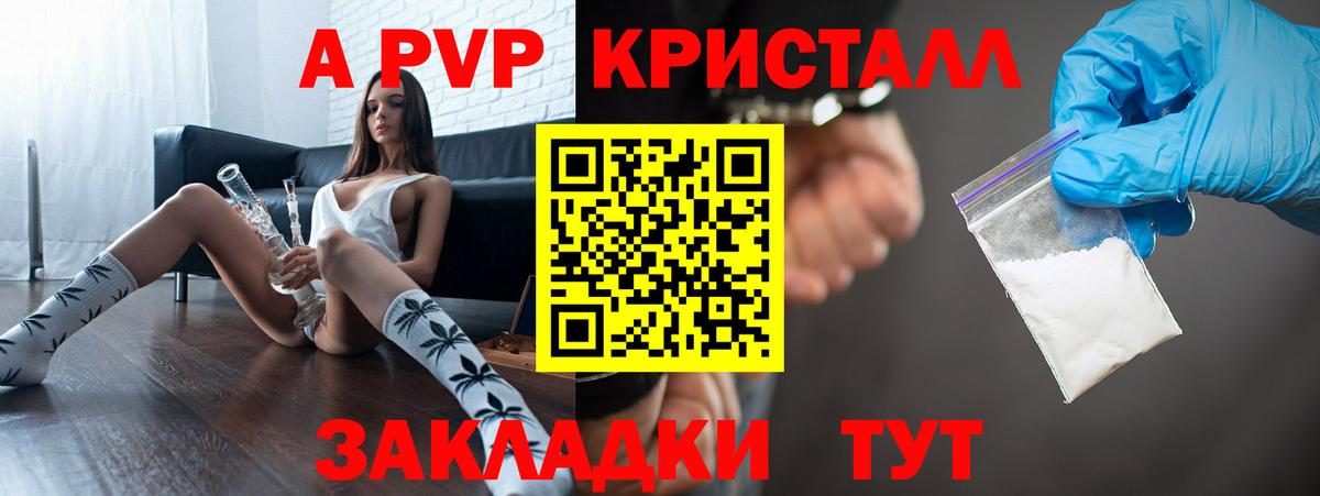 A PVP СК КРИС Саров