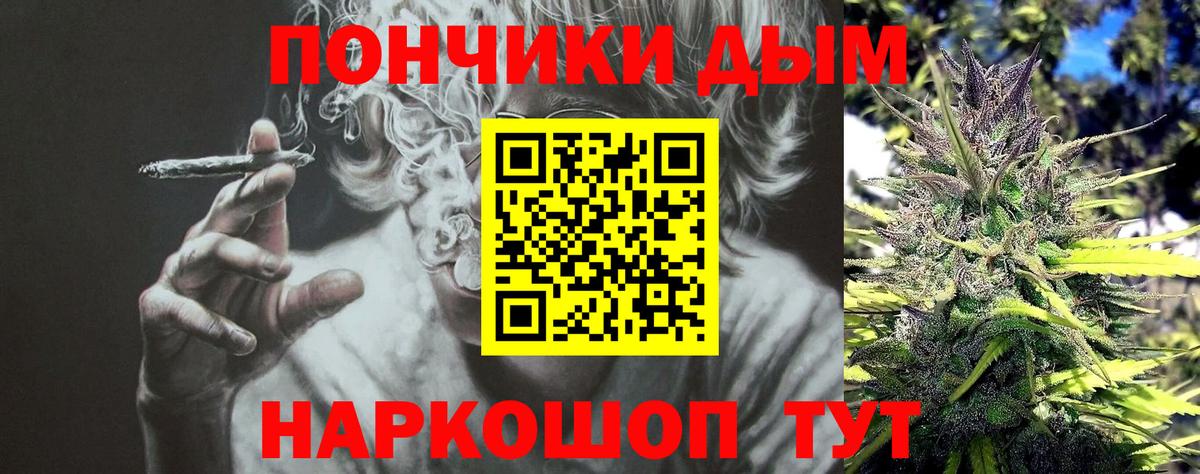 Бошки Шишки Amnesia Саров